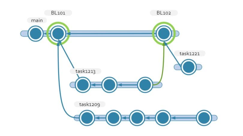 Branch do Plastic SCM