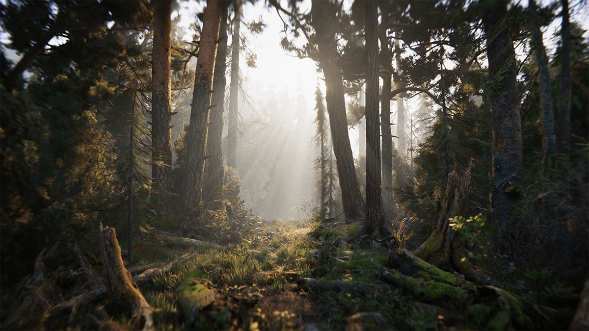 Book of the Dead 2018デモ